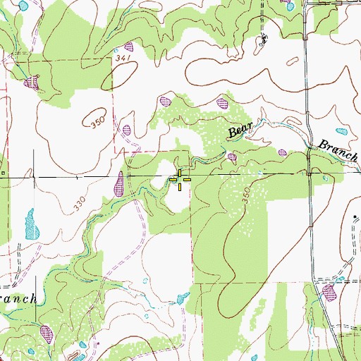 Topographic Map of Bear Branch, TX