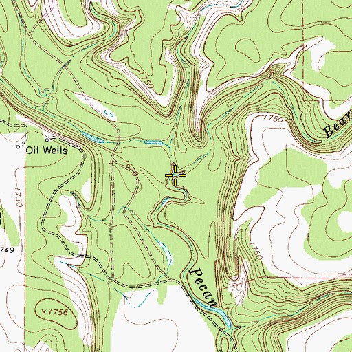 Topographic Map of Bear Branch, TX