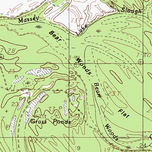Topographic Map of Bear Woods Flat, TX