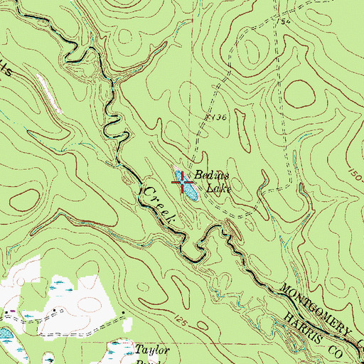 Topographic Map of Bedias Lake, TX