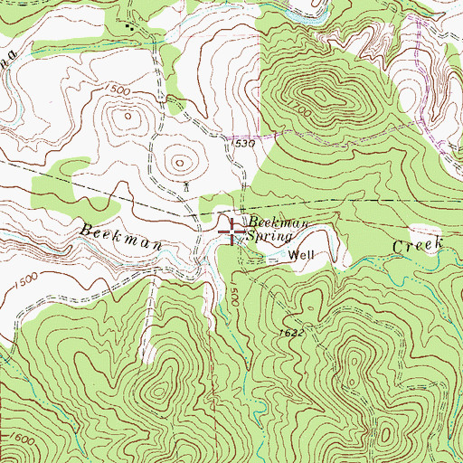 Topographic Map of Beekman Spring, TX