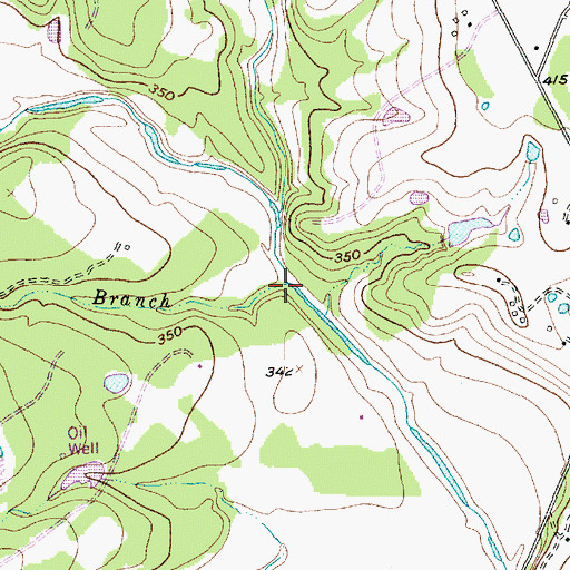 Topographic Map of Bell Branch, TX