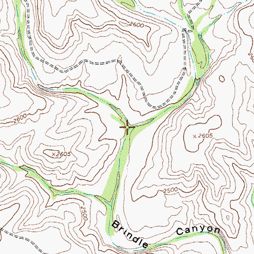 Topographic Map of Big Brindle Canyon, TX