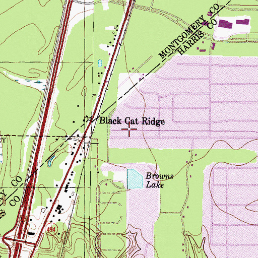 Topographic Map of Black Cat Ridge, TX