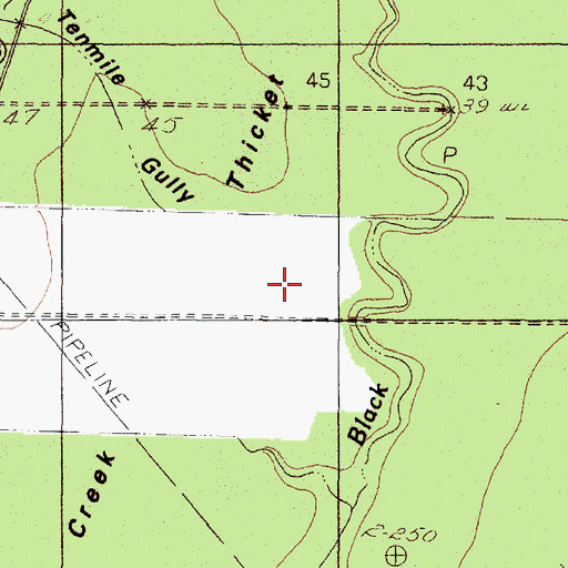 Topographic Map of Black Creek Thicket, TX