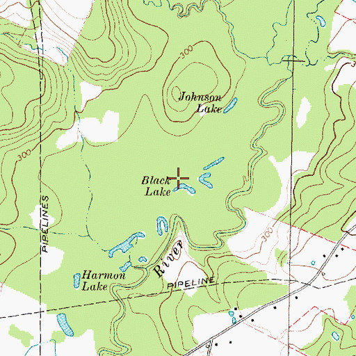 Topographic Map of Black Lake, TX