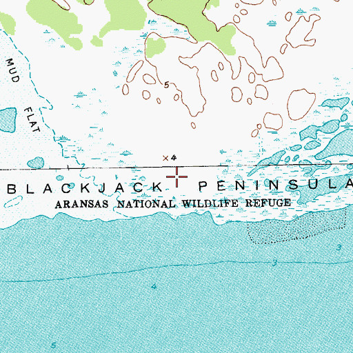 Topographic Map of Blackjack Peninsula, TX