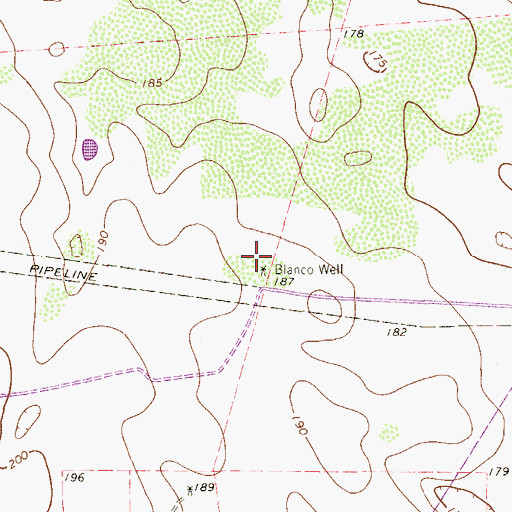 Topographic Map of Blanco Well, TX