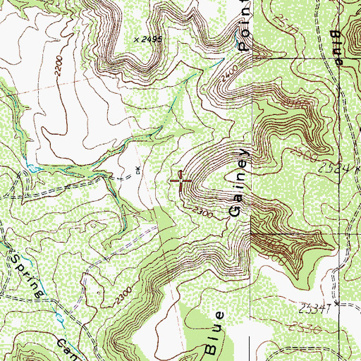 Topographic Map of Blue Gainey Point, TX
