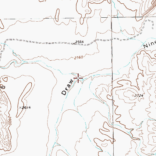 Topographic Map of Bone Spring Draw, TX