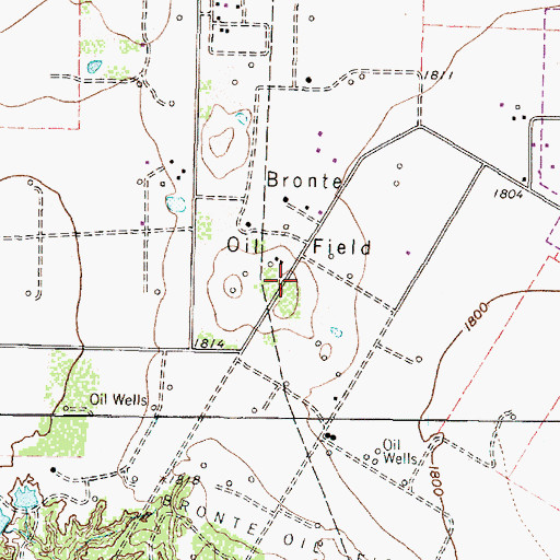 Topographic Map of Bronte Oil Field, TX