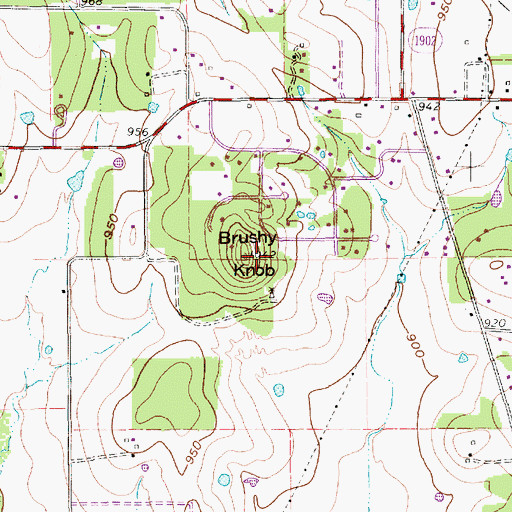 Topographic Map of Brushy Knob, TX