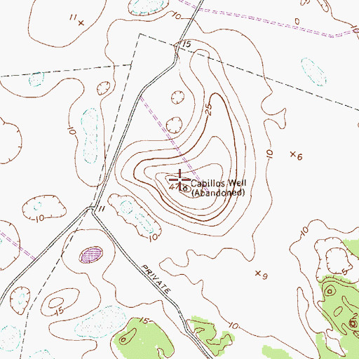 Topographic Map of Cabillos Well, TX