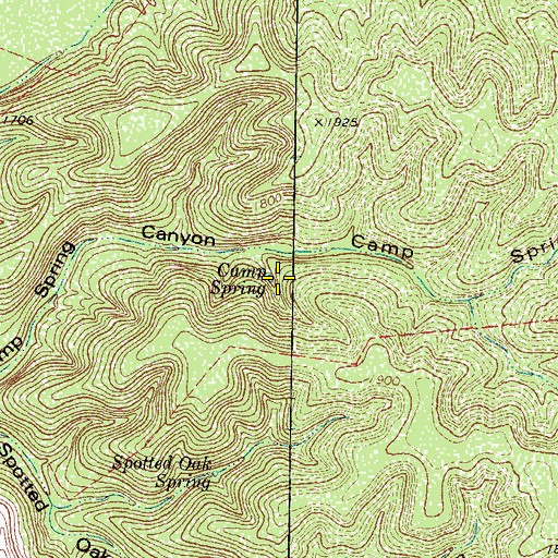 Topographic Map of Camp Spring, TX