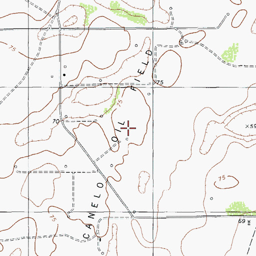 Topographic Map of Canelo Oil Field, TX