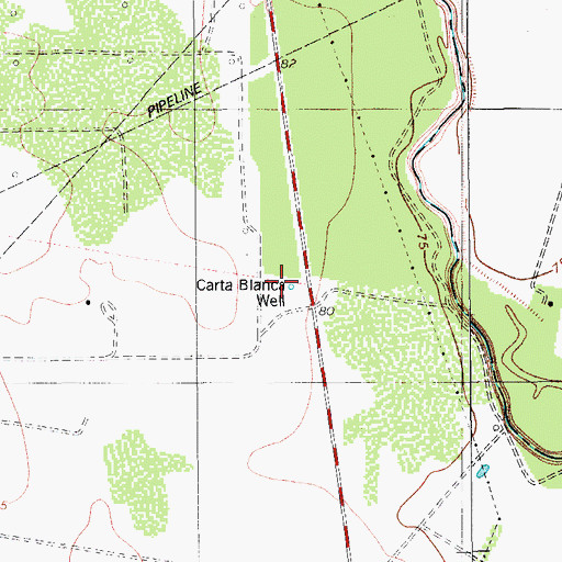Topographic Map of Carta Blanca Well, TX