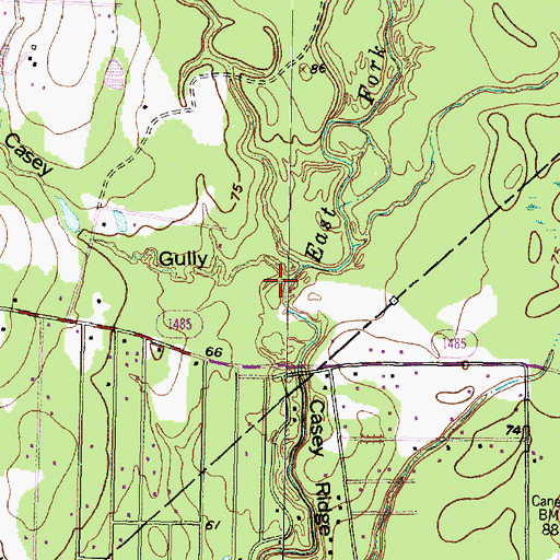 Topographic Map of Casey Gully, TX