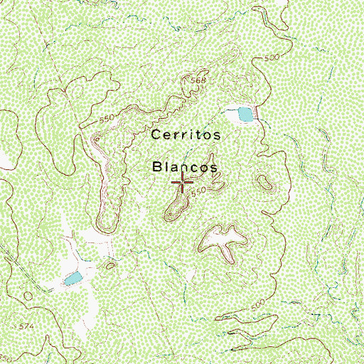 Topographic Map of Cerritos Blancos, TX