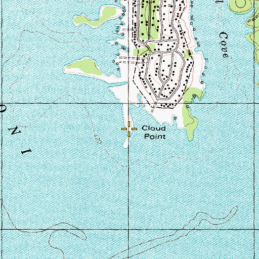 Topographic Map of Cloud Point, TX