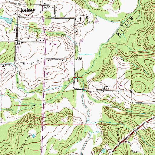 Topographic Map of Coon Creek, TX