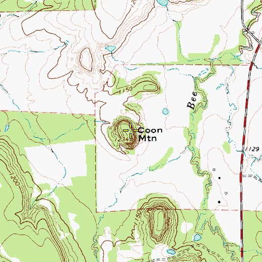 Topographic Map of Coon Mountain, TX