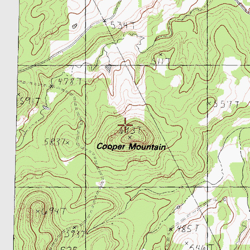 Topographic Map of Cooper Mountain, TX