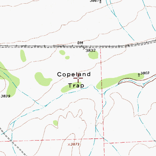 Topographic Map of Copeland Trap, TX
