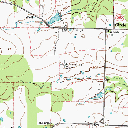 Topographic Map of Cornelius Cemetery, TX