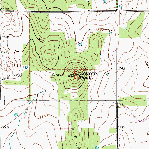 Topographic Map of Coyote Peak, TX