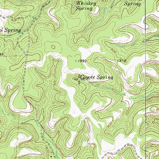 Topographic Map of Coyote Spring, TX