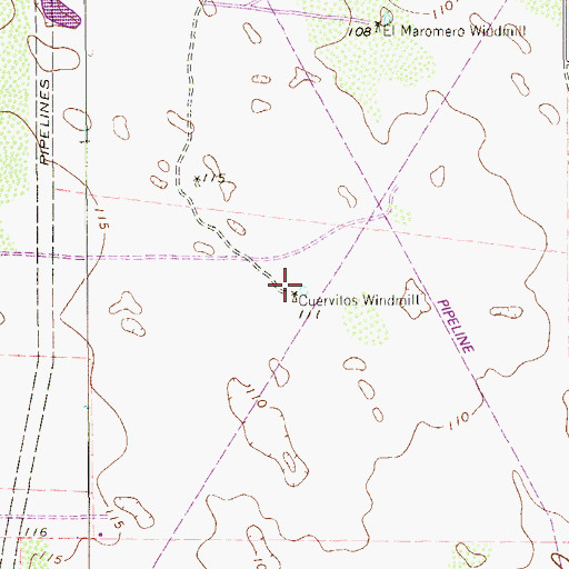 Topographic Map of Cuervitos Windmill, TX