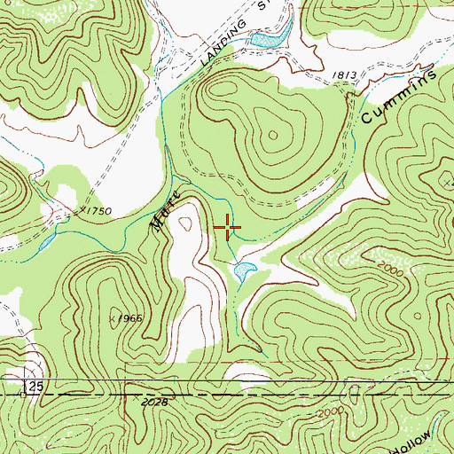 Topographic Map of Cummins Hollow, TX