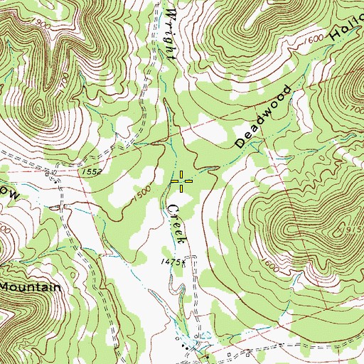 Topographic Map of Deadwood Hollow, TX