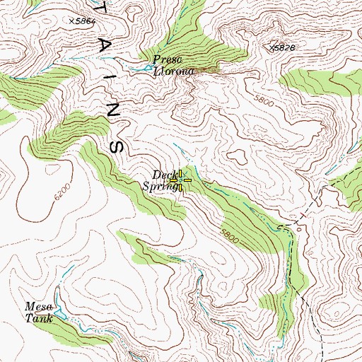 Topographic Map of Deck Spring, TX