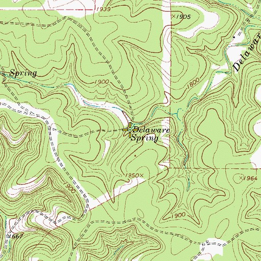 Topographic Map of Delaware Spring, TX