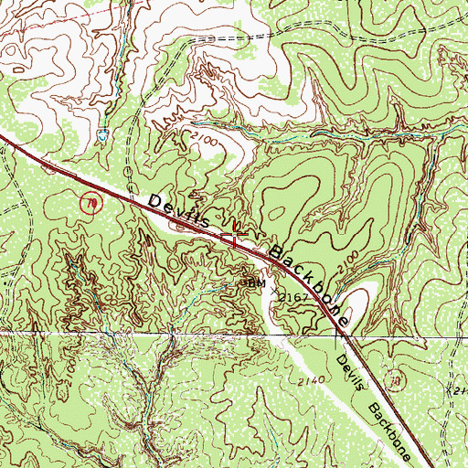 Topographic Map of Devils Backbone, TX