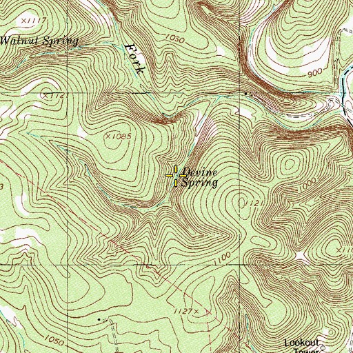 Topographic Map of Devine Spring, TX
