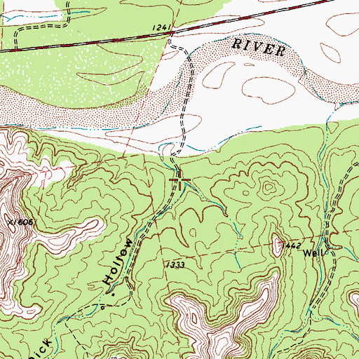 Topographic Map of Dick Hollow, TX