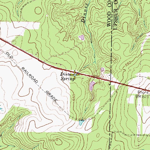 Topographic Map of Dinner Spring, TX