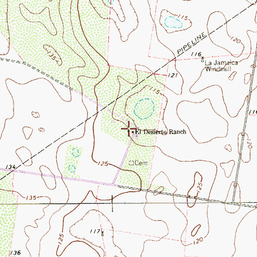 Topographic Map of El Desierto Ranch, TX
