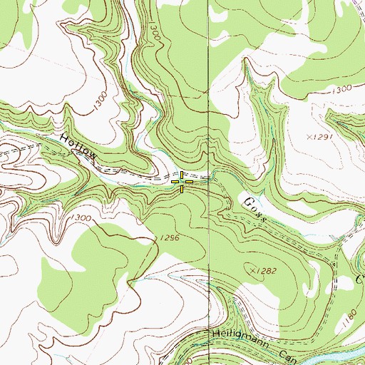 Topographic Map of Elm Hollow, TX