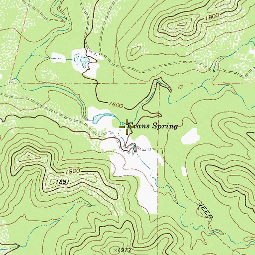 Topographic Map of Evans Spring, TX