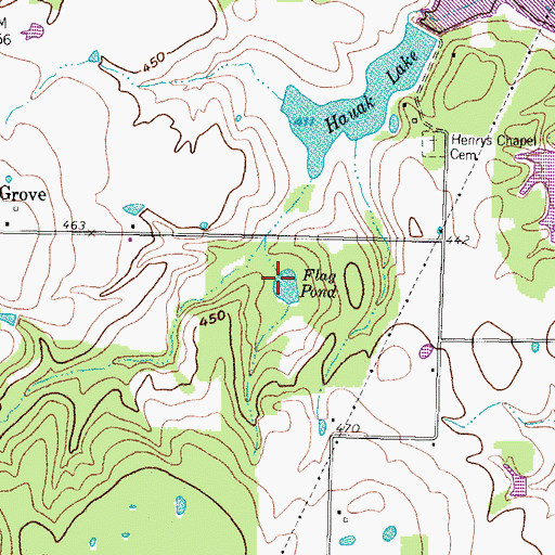 Topographic Map of Flag Pond, TX