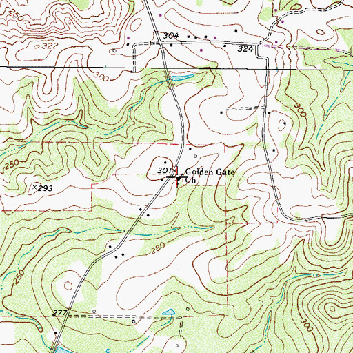 Topographic Map of Golden Gate Church, TX