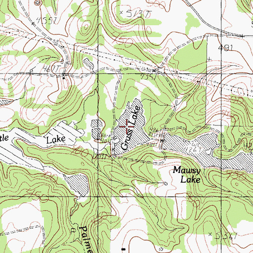 Topographic Map of Grass Lake, TX