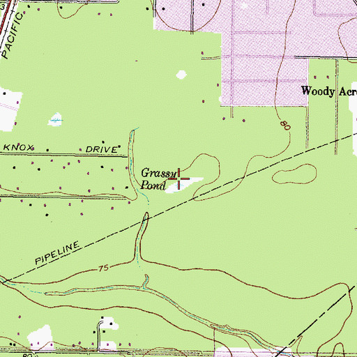 Topographic Map of Grassy Pond, TX