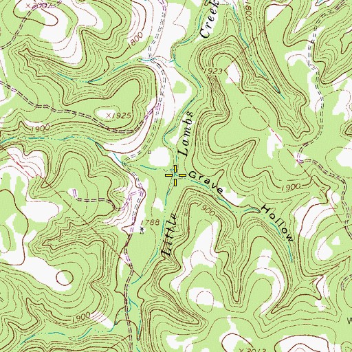 Topographic Map of Grave Hollow, TX