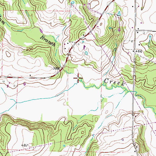 Topographic Map of Gum Branch, TX