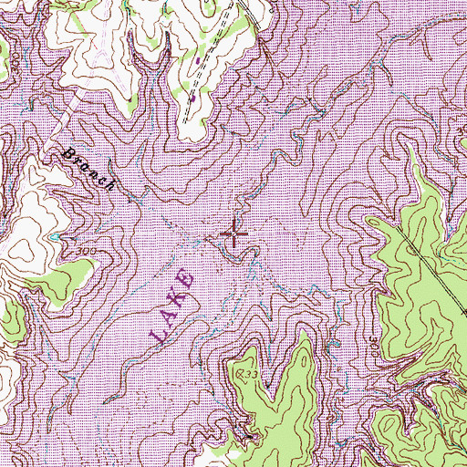 Topographic Map of Hanna Branch, TX