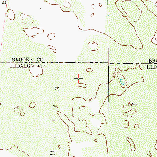 Topographic Map of Julian Pasture, TX